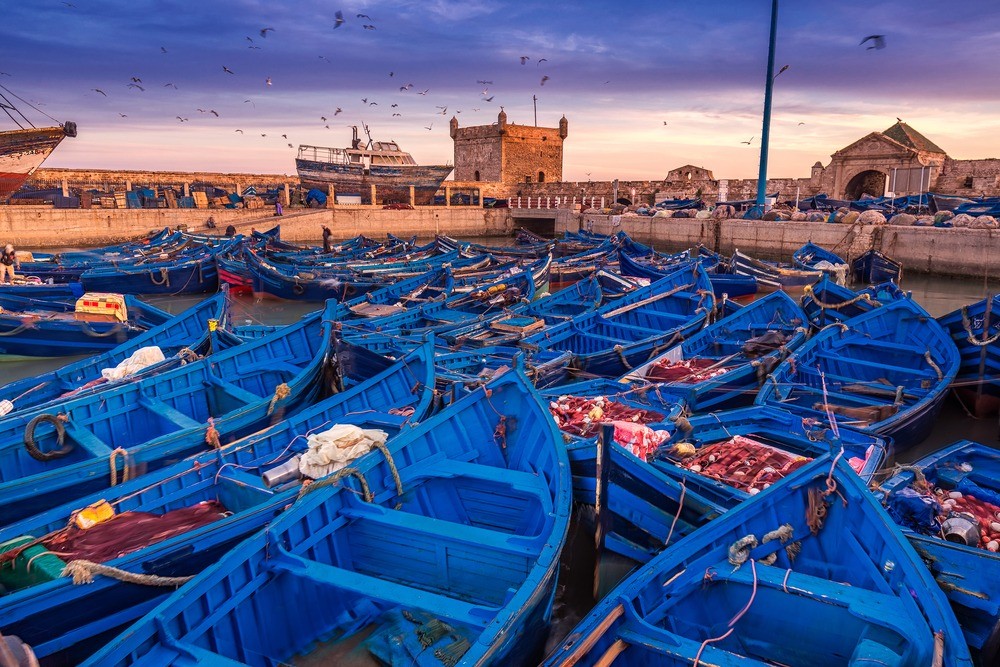 10 Days Private Tour from Fez