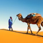 Private Morocco Tours From Casablanca