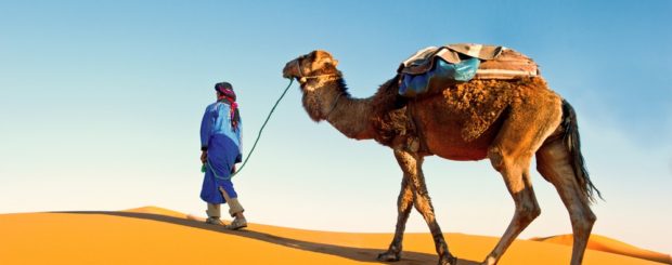 Morocco Desert Tours
